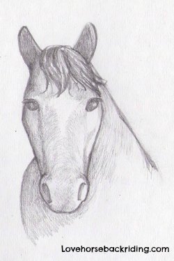 250x375 Create A Horse Head Drawing - Horse Sketch Head