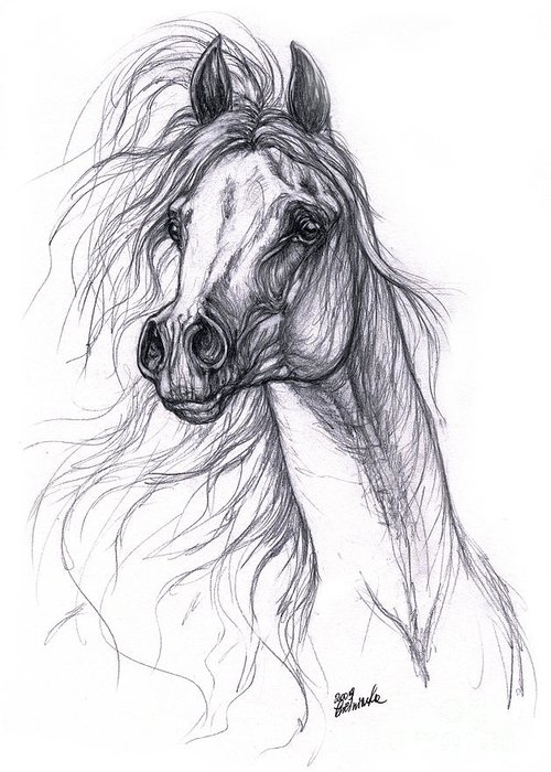 500x700 Horse Sketch Art Fine Art America - Horse Sketch Images