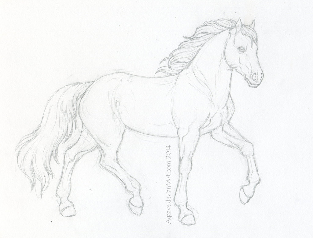 1024x780 Horse Sketch - Horse Sketch Images