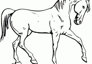 300x210 Horse Drawings To Color Kids Drawing Horse At Getdrawings Free - Horse Sketch Kids
