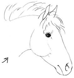 236x250 64 Best How To Draw - Horse Sketch Kids
