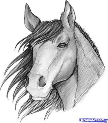 Horse Sketch Kids at PaintingValley.com | Explore collection of Horse ...