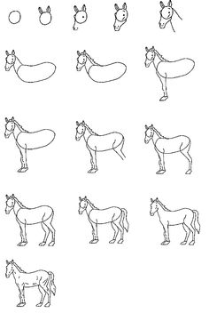 236x352 The 107 Best How To Draw Horse Images Drawings Of - Horse Sketch Kids