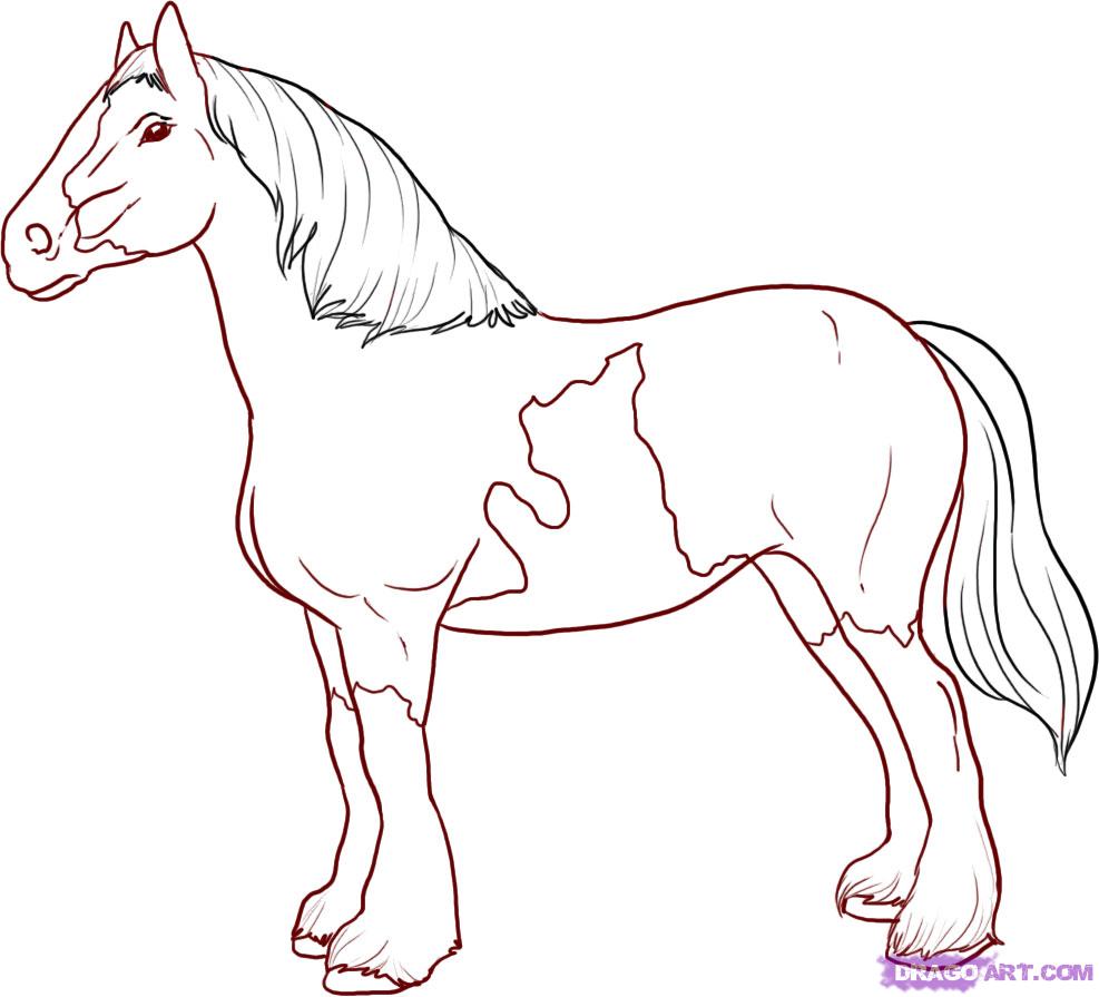 987x895 Easy Sketches To Draw For Beginners Easy Horse Drawings For Kids - Horse Sketch Kids