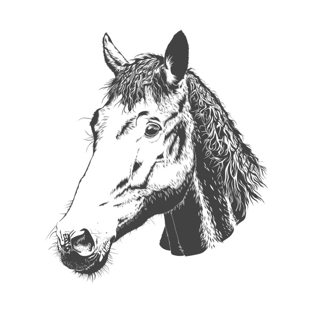 630x630 Drawing Horse - Horse Sketch Kids