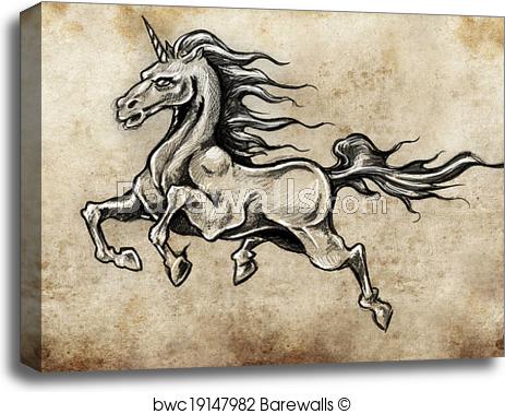 463x379 Canvas Print Of Horse With Wings, Unicorn, Tattoo Sketch, Handmade - Horse Sketch On Canvas