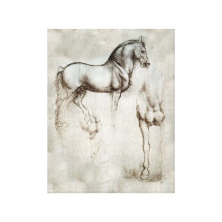 324x324 Horse Drawings Wrapped Canvas Prints Zazzle - Horse Sketch On Canvas