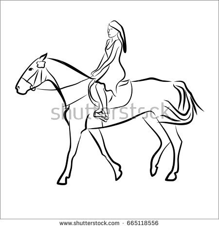 450x470 Gallery Horse Sketches And Drawings Outline, - Horse Sketch Outline
