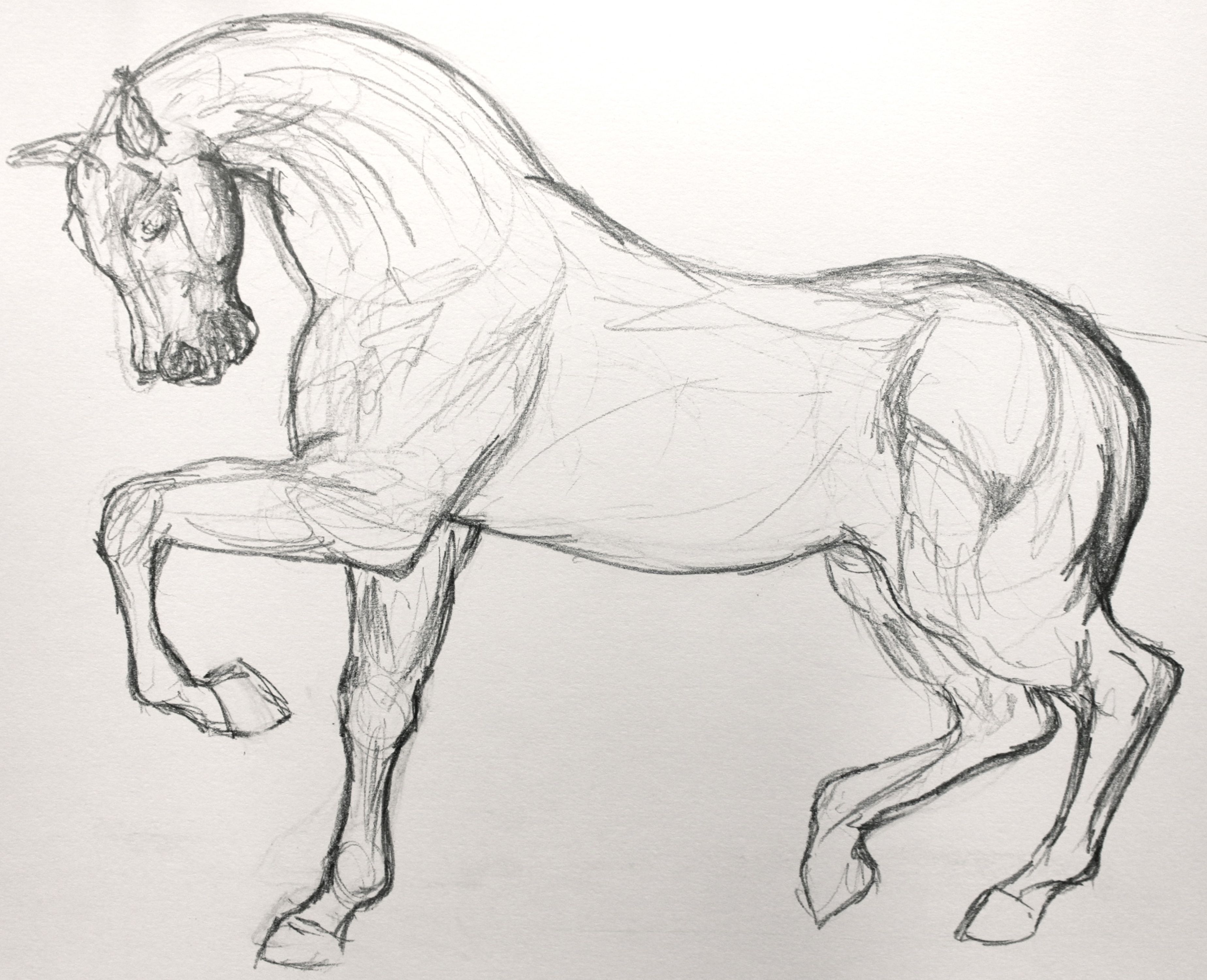 3697x3000 Jumping Horse Outline Drawing Avoid This, As The Horse In - Horse Sketch Outline