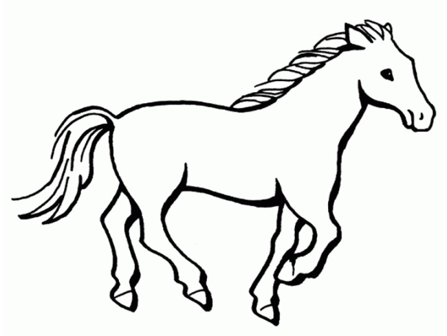650x489 Horse Outline - Horse Sketch Outline
