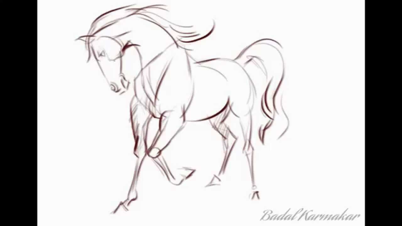 1280x720 Horse Sketch 01 - Horse Sketch Pictures