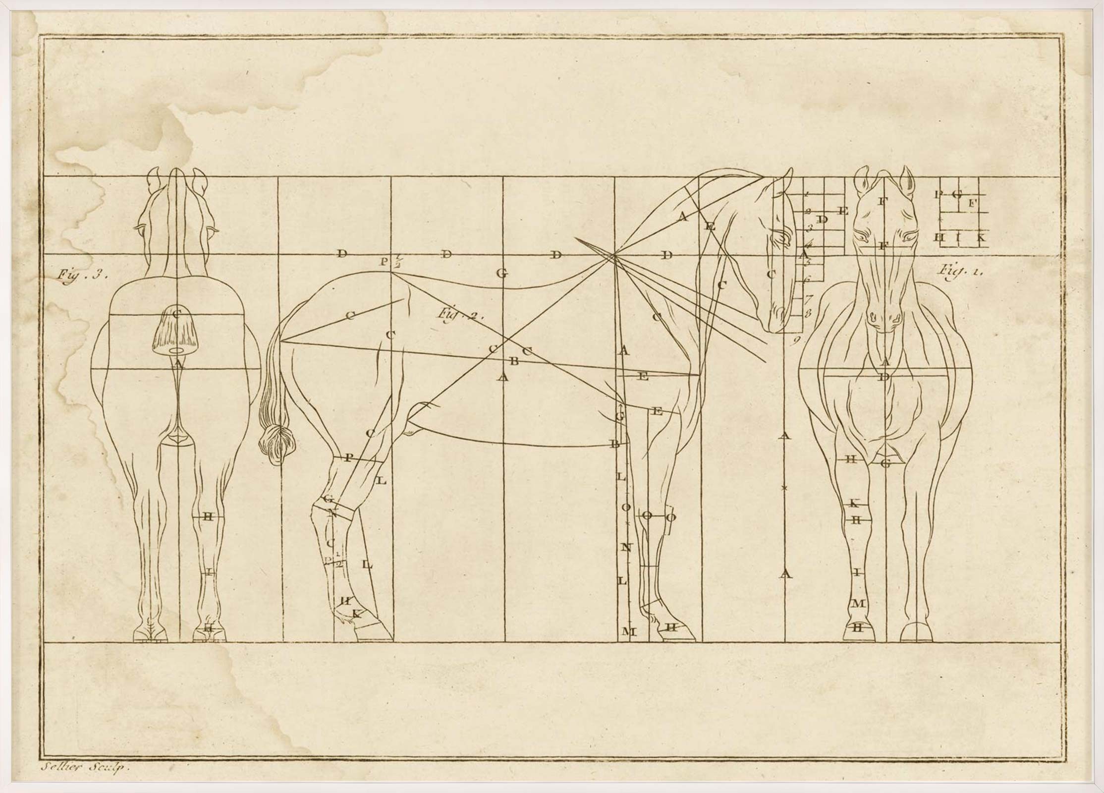 2228x1600 Helford Horse Sketch - Horse Sketch Pictures