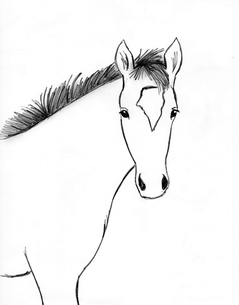 760x971 Horse Drawing Step By Step - Horse Sketch Pictures