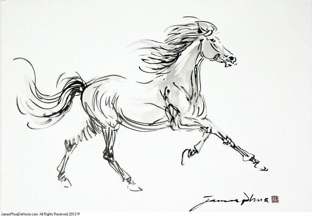 1025x709 S0011 Horse Sketch The Horse Masterpiece - Horse Sketch Pictures