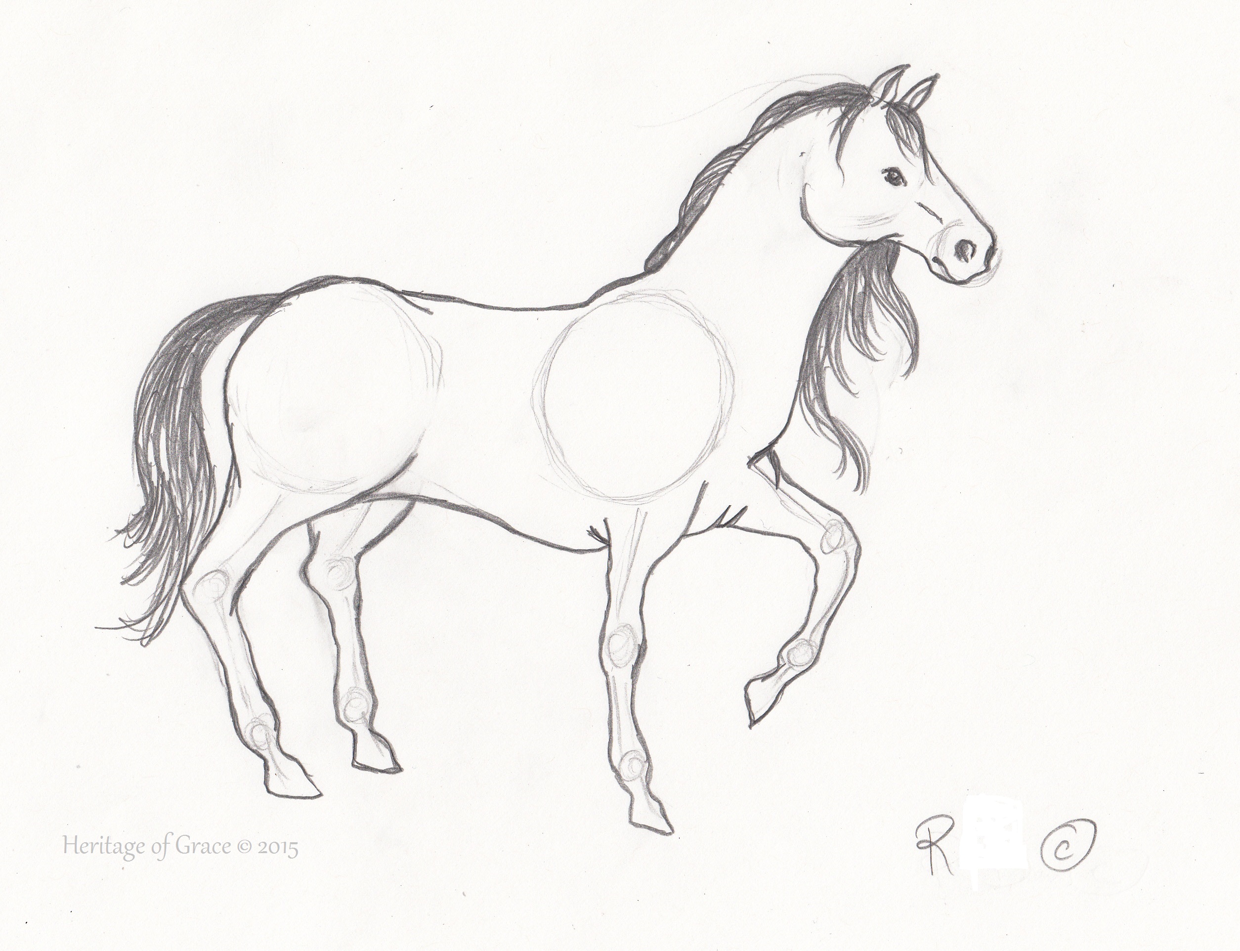 2509x1924 Horse Sketches - Horse Sketch Pictures