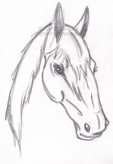 448x649 Simple Horse Sketch By Drache Lehre - Horse Sketch Simple