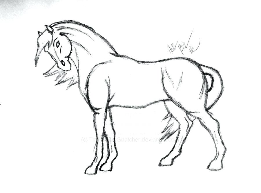 900x664 Marvellous Horses Drawings Exciting - Horse Sketch Simple