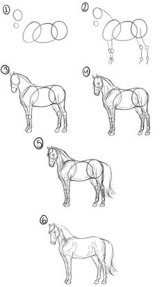 Horse Sketch Step By Step at PaintingValley.com | Explore collection of ...