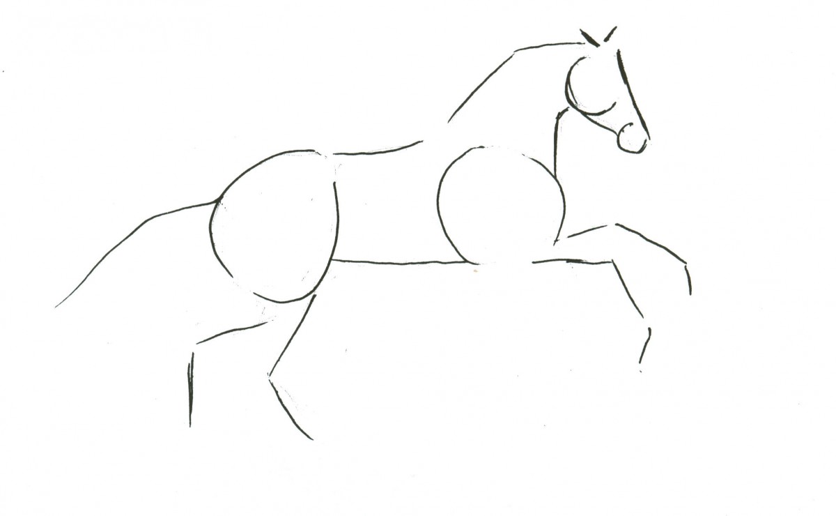 Horse Sketch Step By Step at PaintingValley.com | Explore collection of