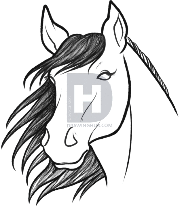 Horse Sketch Step By Step at PaintingValley.com | Explore collection of ...