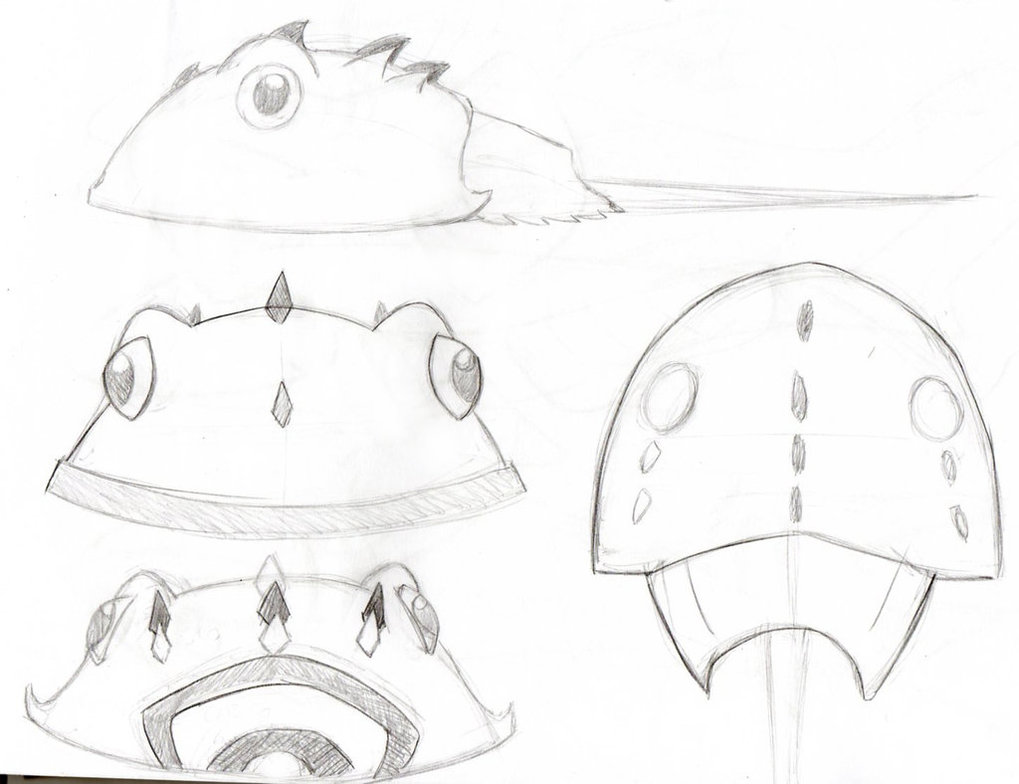 1019x784 Horseshoe Crab Sketch - Horseshoe Crab Sketch