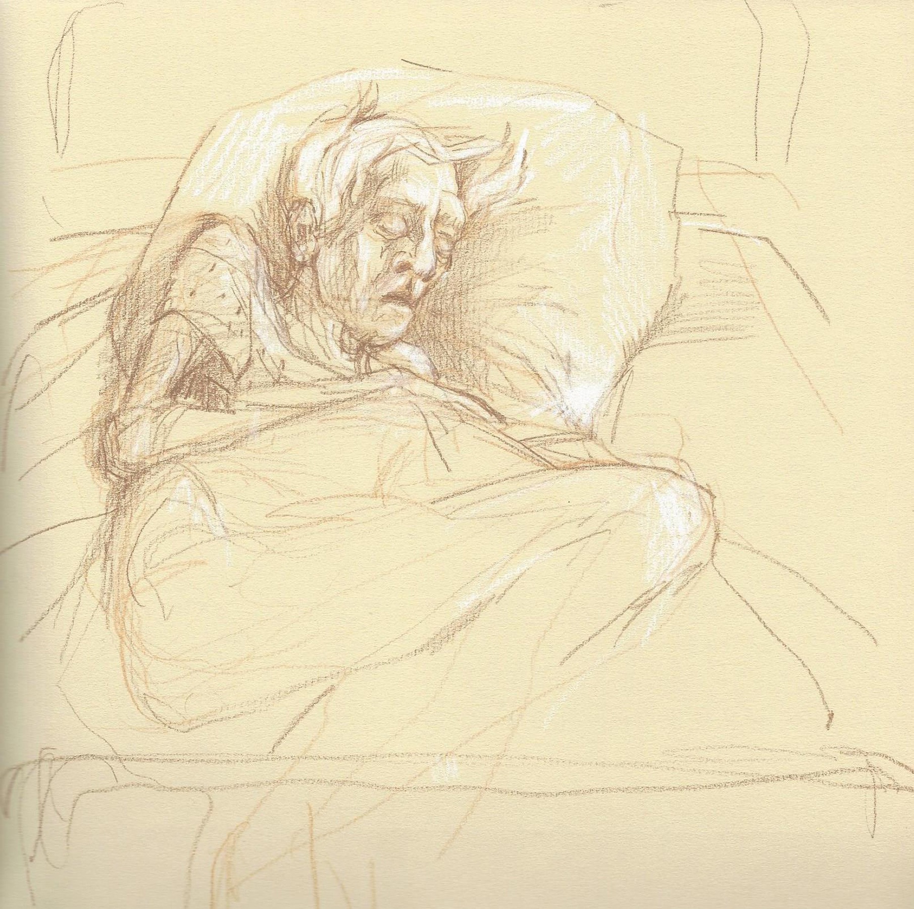 1810x1800 Pulse Voices From The Heart Of Medicine - Hospital Sketches