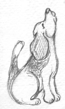 216x360 Caroling Hound Sara Weingartner - Hound Dog Sketch