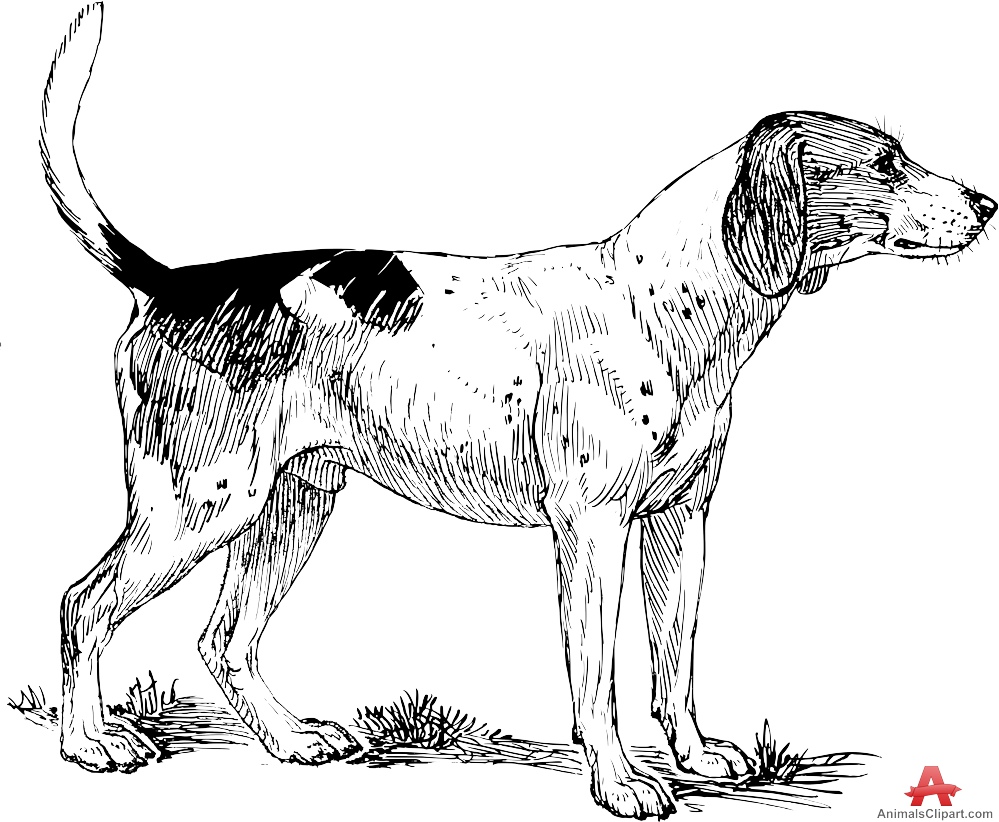 999x822 Hound Clipart Clipart Panda - Hound Dog Sketch
