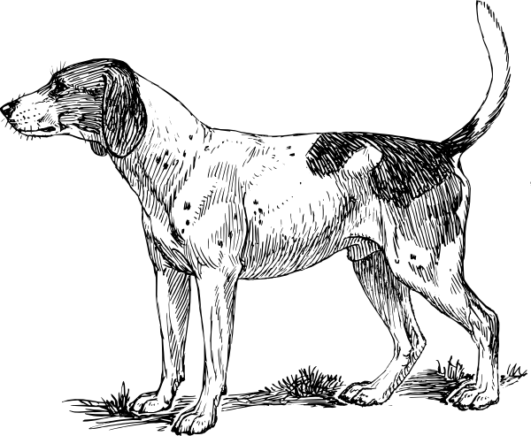 600x493 Hound Dog Clip Art - Hound Dog Sketch