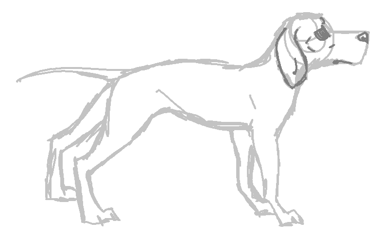 786x488 Hound Dog Sketch By Homeqrown - Hound Sketch