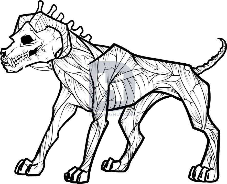887x720 How To Draw A Hellhound, Hell Hound, Step By Step, Drawing Guide - Hound Sketch