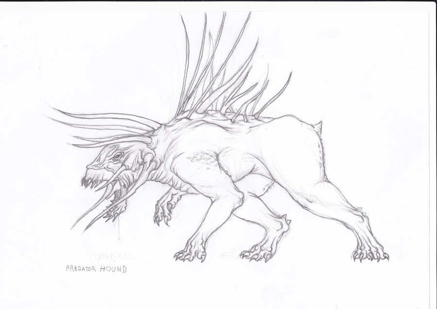 900x637 Predator Hound - Hound Sketch