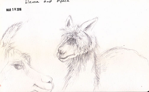 504x314 Urban Sketchers Texas - Houston Sketch