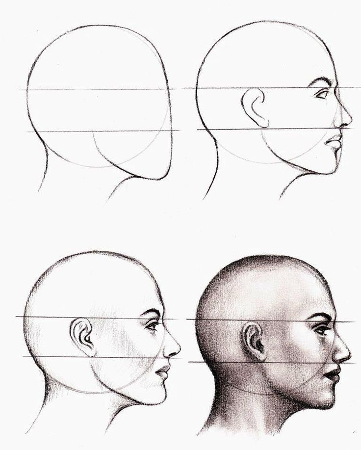 736x917 How To Draw Human Face - How To Draw A Sketch Of A Person