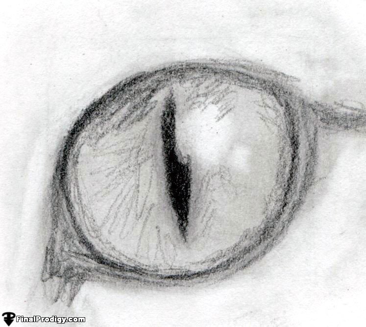 747x667 How To Draw A Cat Eye - How To Draw Sketch