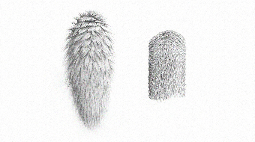 850x474 How To Draw Fur - How To Draw Sketch