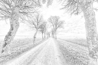 320x212 How To Make A Picture Into A Sketch - How To Make Sketch