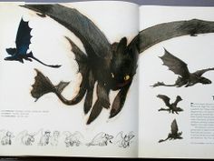 236x177 89 Best How To Train Your Dragon. Images How To - How To Train Your Dragon Sketches