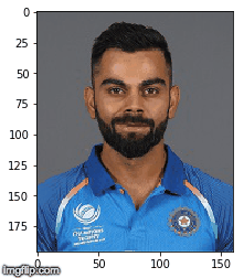 221x252 How To Turn Any Image Into A Pencil Sketch With 10 Lines Of Code - How To Turn A Picture Into A Sketch