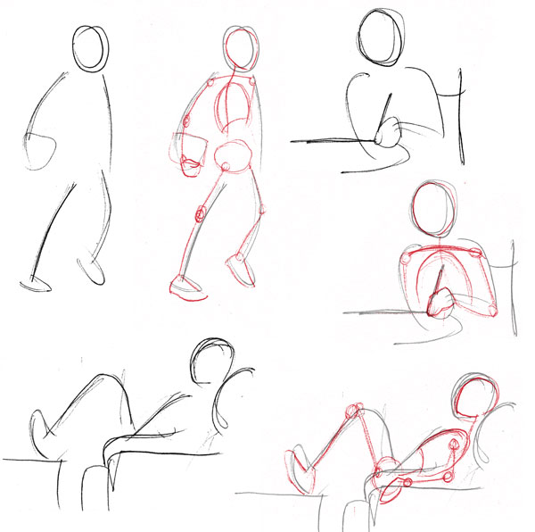600x596 Human Anatomy Fundamentals Basic Body Proportions - Human Anatomy Sketches