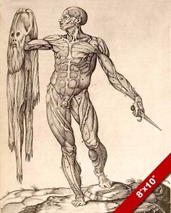 240x300 Leonardo Da Vinci Skinned Human Anatomy Sketch Painting Real - Human Anatomy Sketches