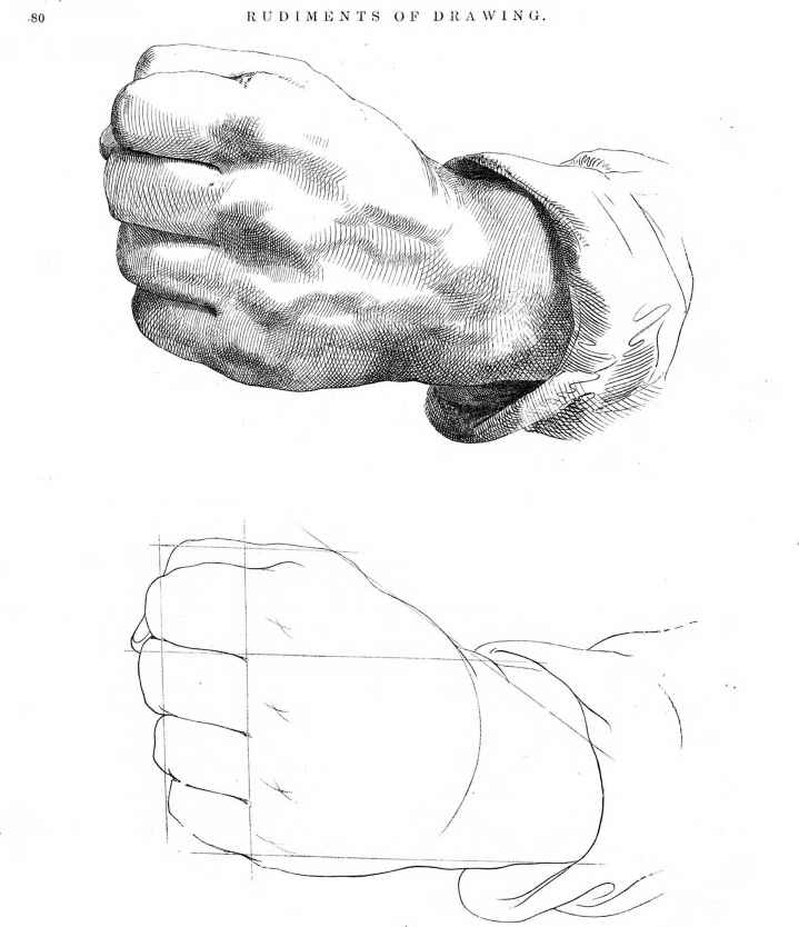 719x834 Sketches Of Human Anatomy - Human Anatomy Sketches