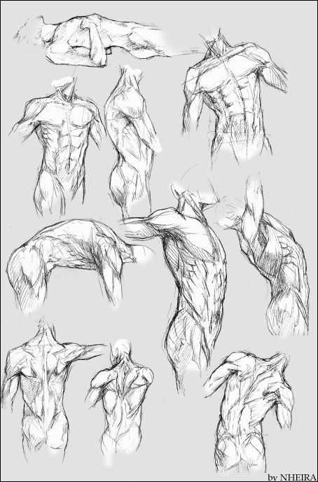 454x688 Anatomy.sketches Ii By Nheira Future Drawing Lessons - Human Anatomy Sketches