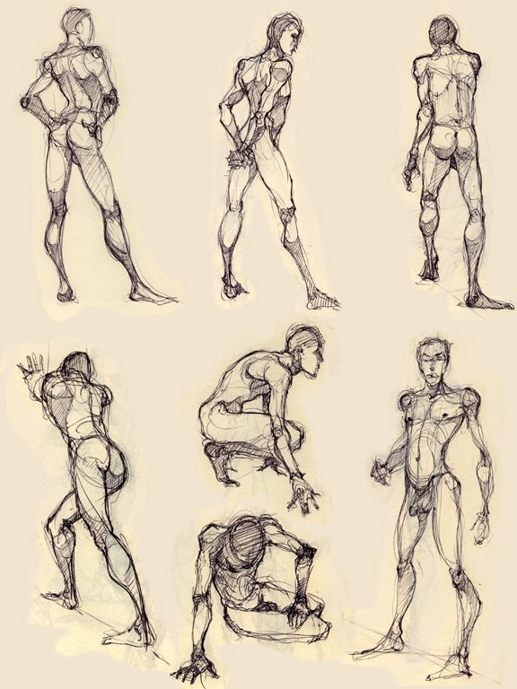 576x768 Some More Figure Drawing By On @ - Human Anatomy Sketches