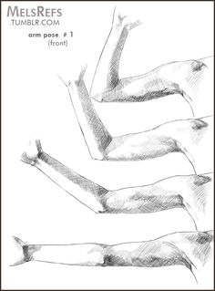 236x319 231 Na U Na Drawing Arms - Human Arm Sketch