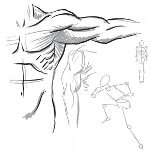 300x300 Human Anatomy For Artists And How It Helps - Human Arm Sketch