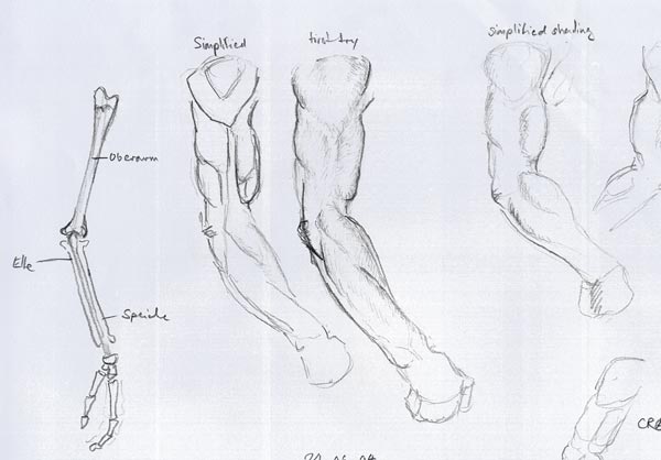 600x418 Human Arm Drawing - Human Arm Sketch