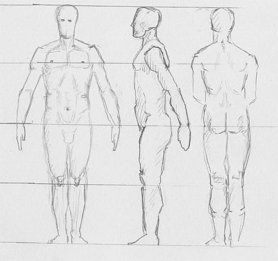 550x517 Human Body Sketch Front And Back - Human Back Sketch