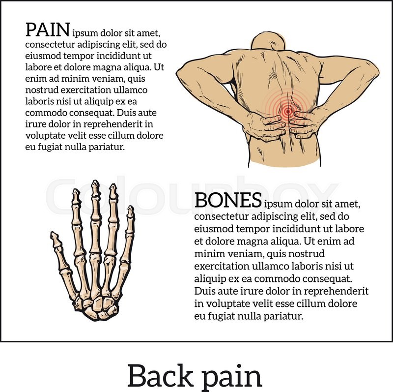800x797 Lumbar Pain In A Man Back Pain In A Human Vector Outline Sketch - Human Back Sketch