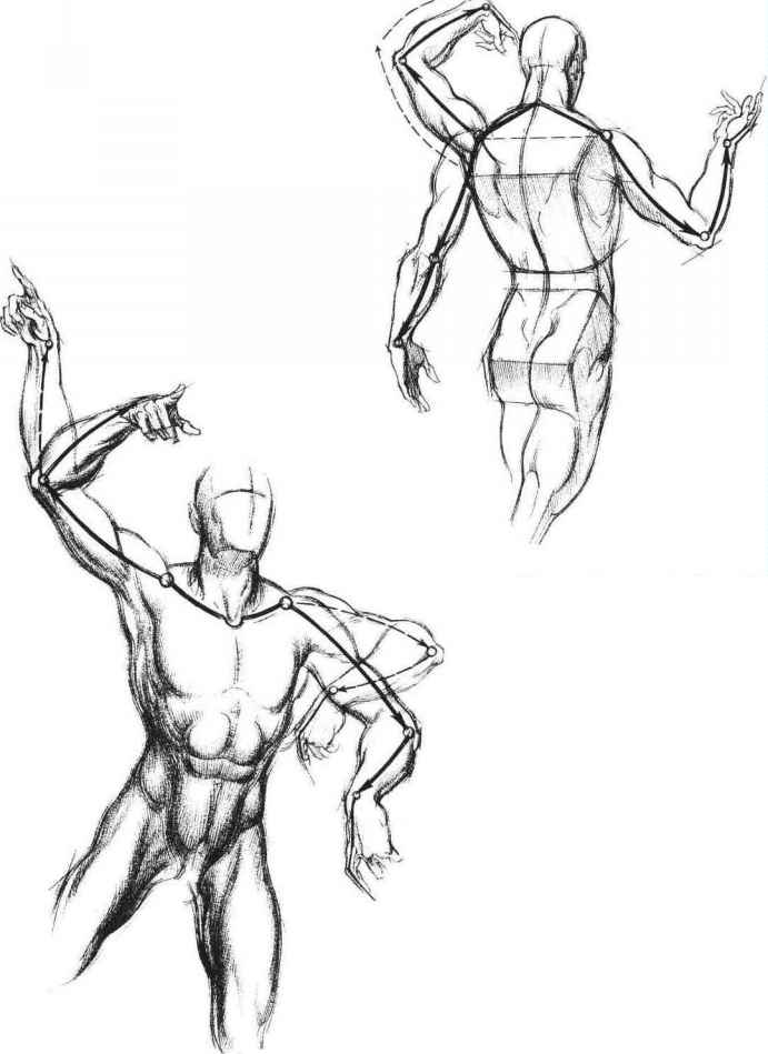 691x949 The Arms Are Third In Importance - Human Back Sketch